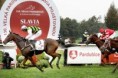 Slavia pojišťovna podpoří Velkou pardubickou jako titulární partner i v dalších letech
